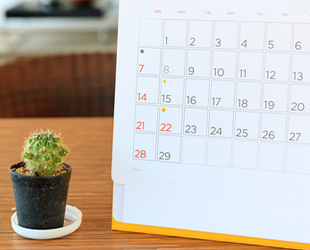 今後の施術計画・アドバイス